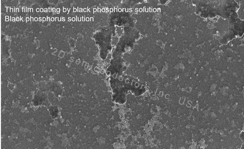 Monolayer Black Phosphorus Solution