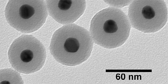 NanoXact Gold Nanospheres – Silica Shelled (Aminated)
