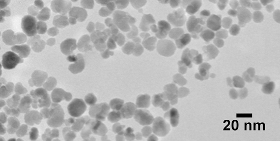 NanoXact Magnetite Nanoparticles – PVP